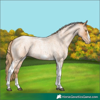 Horse Color:Red Roan Pearl Tobiano Frame