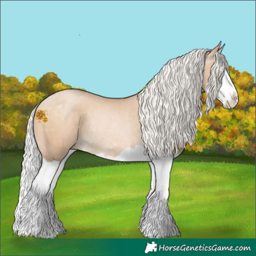 Horse Color:Silver Buckskin Pearl Splash Rabicano 