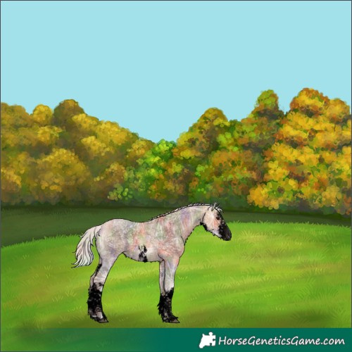 Horse Color:Void Nacre White Spotted Silver Bay Ice Dun 