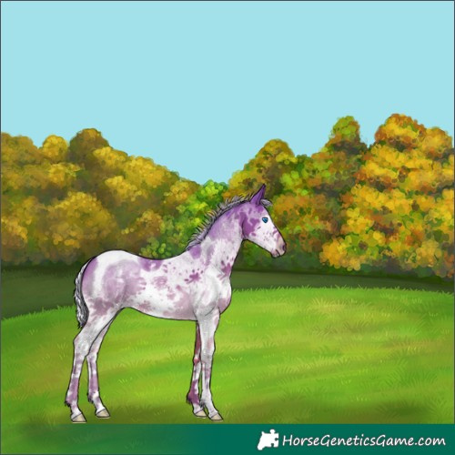 Horse Color:Watercolor Silver Bay Sabino Splash Tobiano 