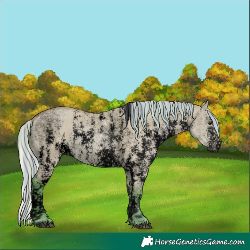 Horse Color:Void Painted Watercolor Silver Bay Dun Sabino Rabicano 