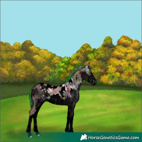 Horse Color:Void Painted Nacre White Spotted Silver Brown Ice Dun Splash 