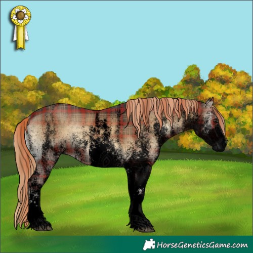 Horse Color:Void Plaid  White Spotted Liver Red Onyx 