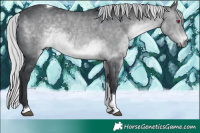 Horse Color:Silver Brown Chinchilla Tobiano Rabicano