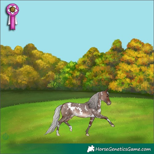 Horse Color:White Spotted Silver Brown Roan Mushroom 