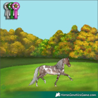 Horse Color:White Spotted Silver Brown Roan Mushroom