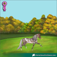 Horse Color:White Spotted Silver Brown Roan Mushroom 