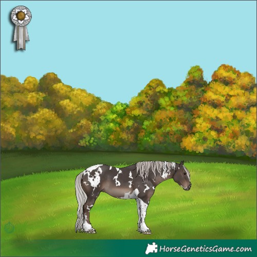 Horse Color:White Spotted Silver Black Mushroom Tobiano 