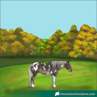 Horse Color:White Spotted Silver Black Mushroom Tobiano 