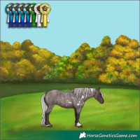 Horse Color:White Spotted Silver Brown Roan
