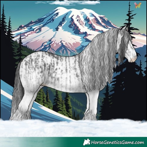 Horse Color:White Spotted Black  and White Spotted Black 