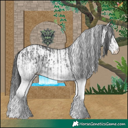 Horse Color:White Spotted Black  and White Spotted Black 