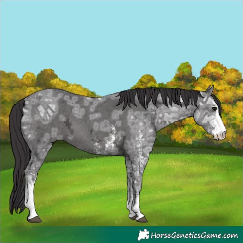 Horse Color:Smoky Black Ice Sabino 