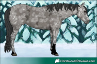 Horse Color:Grullo Ice Sabino Tobiano