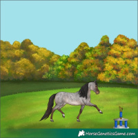 Horse Color:Liver Red Roan 