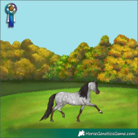 Horse Color:White Spotted Liver Red Roan 