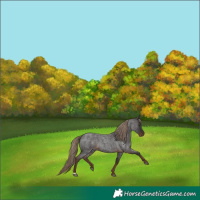 Horse Color:Liver Red Roan 