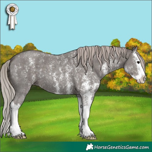 Horse Color:Silver Black Sabino Splash 