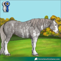 Horse Color:Silver Black Sabino Splash