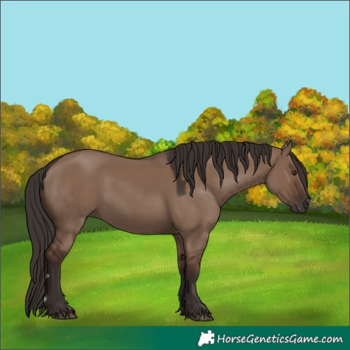 Horse Color:Liver Red Dun 