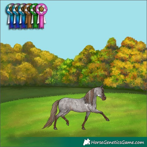 Horse Color:White Spotted Liver Red Roan 