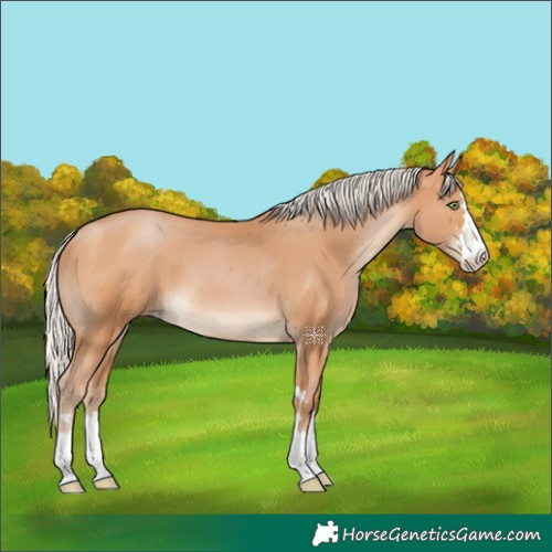 Horse Color:Silver Bay Pearl 