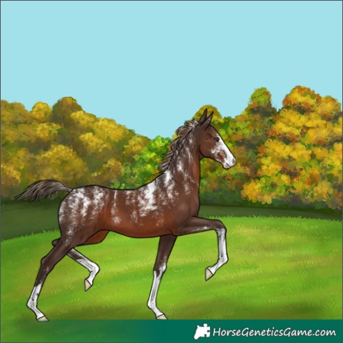 Horse Color:Powder White Liver Chestnut 
