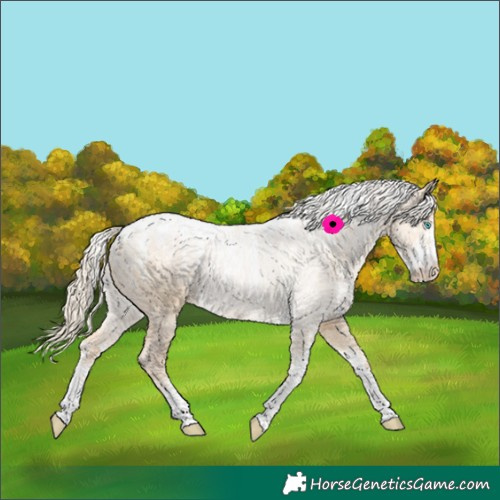 Horse Color:Powder White Palomino Pearl Dun 