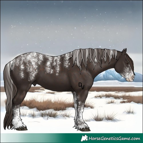 Horse Color:Powder White Liver Chestnut 