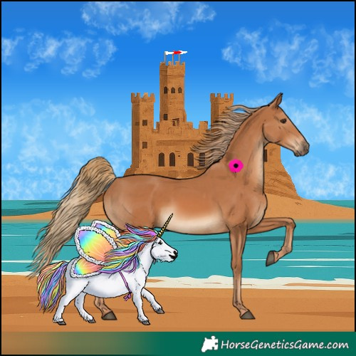 Horse Color:Chestnut  and Chestnut 