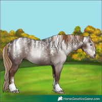 Horse Color:Powder White Gray Liver Chestnut