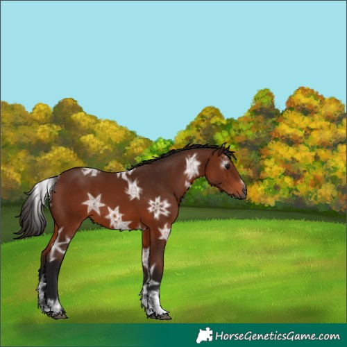 Horse Color:Powder White Gray Bay Ice