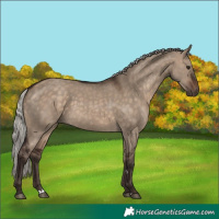 Horse Color:Silver Brown Dun 