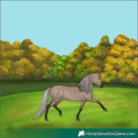 Horse Color:Silver Brown Dun 