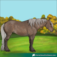 Horse Color:Silver Brown Dun