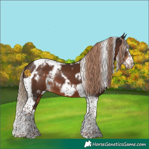 Horse Color:White Spotted Liver Chestnut Splash Tobiano Frame Rabicano
