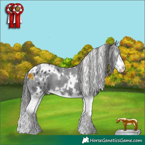 Horse Color:White Spotted Black Splash Appaloosa 