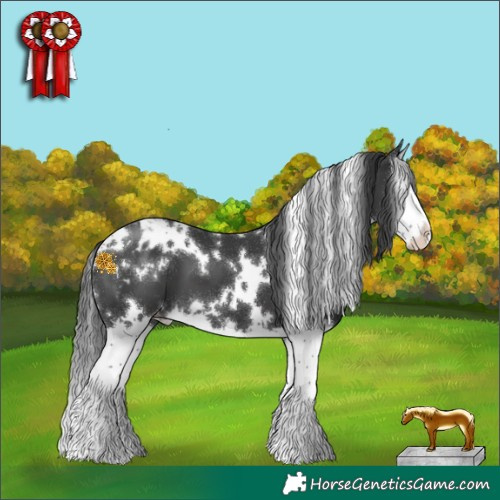 Horse Color:White Spotted Black Splash Appaloosa 