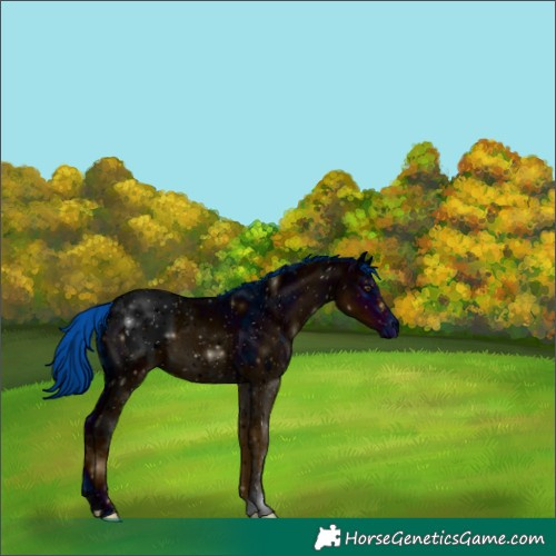 Horse Color:ERROR: UNKNOWN ANOMALY