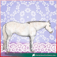 Horse Color:Perlino Sabino and Perlino Sabino