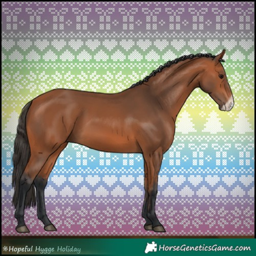 Horse Color:Bay Frame 