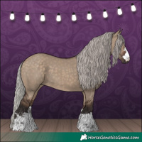 Horse Color:Silver Brown Dun 