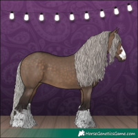 Horse Color:Silver Brown Dun 