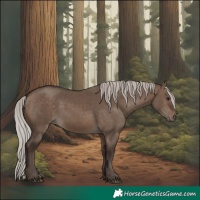 Horse Color:Silver Brown Dun 