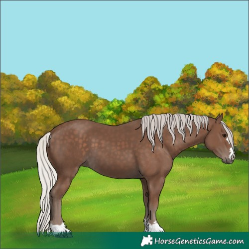 Horse Color:Silver Black 