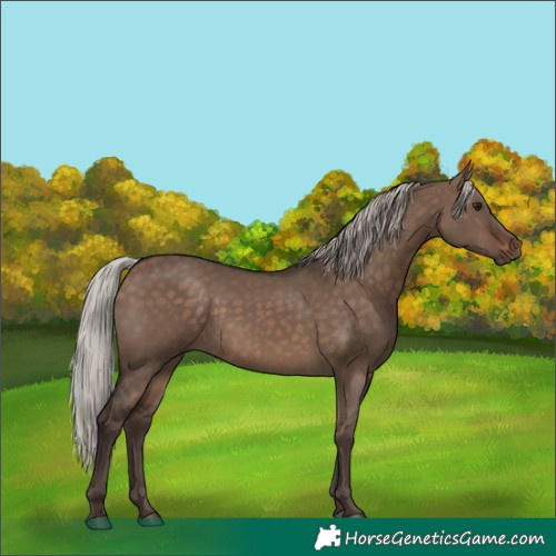 Horse Color:Silver Brown Dun 
