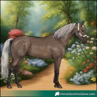 Horse Color:Silver Brown Dun 