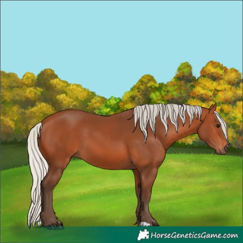 Horse Color:Silver Bay 