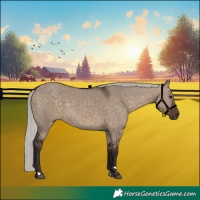 Horse Color:Silver Brown Dun 