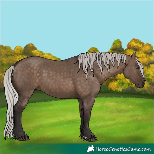 Horse Color:Silver Brown Dun 